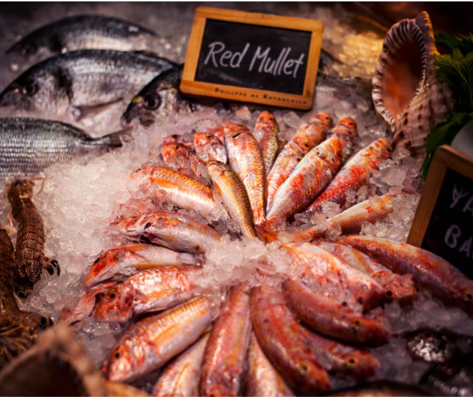 raw fishes